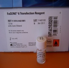 FuGENE® 6 Transfection Reagent