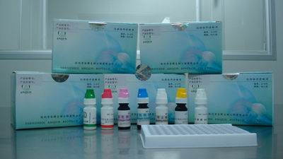 供应抗滋养细胞膜抗体酶联免疫检测试剂盒