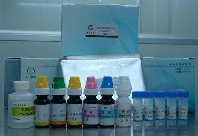 供应抗环瓜氨酸多肽抗体酶联免疫检测试剂盒