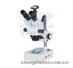体视显微镜 