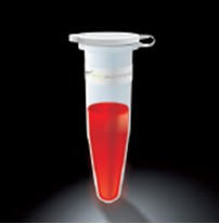 KAPA Blood PCR Mix