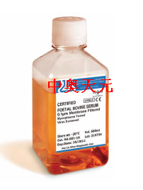 优级热灭活胎牛血清