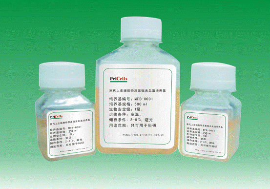 原代滑膜细胞特制基础无血清培养基