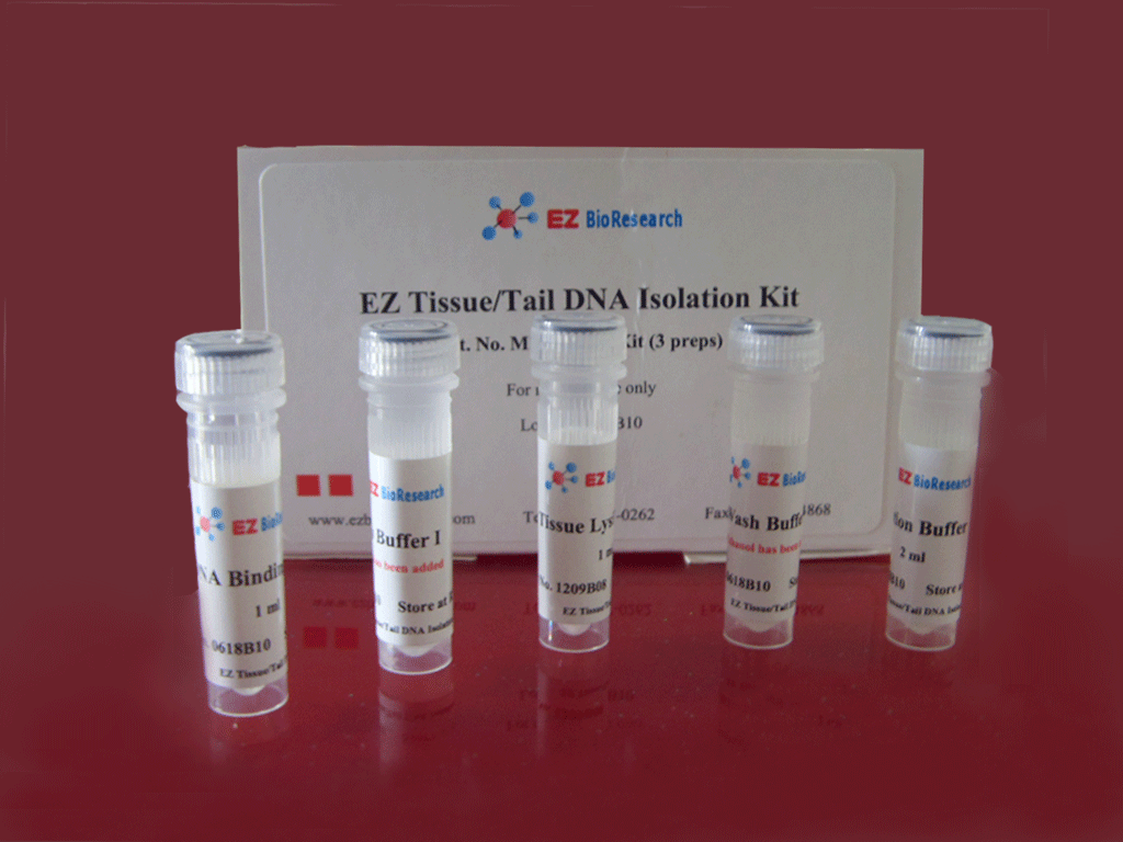 DNA提取试剂盒