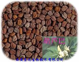 供应4-羟基异亮氨酸 4-Hydroxyisoleucine 葫芦巴提取物