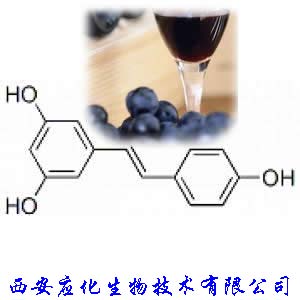 白藜芦醇 Resveratrol