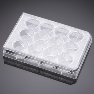 12-well Cell Culture Plate, nontreated polystyrene, flat-bottom with lid