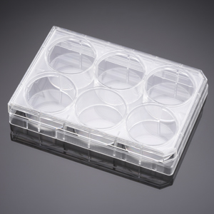 6-well Cell Culture Plate, tissue-culture treated polystyrene, flat-bottom with lid