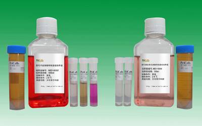 0.1% Gelatin Solution for Primary Cells