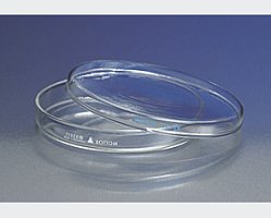 Corning细菌培养皿--3160-152 