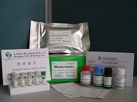 小鼠IL-17 ELISA试剂盒