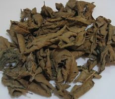 库存新货番石榴叶提取物