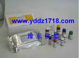 黄曲霉毒素总量检测试剂盒
