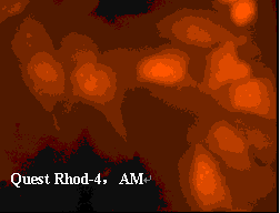 Quest Rhod-4™, AM