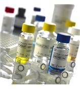 流式抗体标记试剂盒，如FITC，Alexa Fluor® 594标记