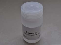 非冻型组织细胞RNA保存液(RNAwait)