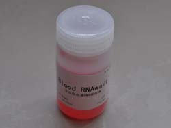 非冻型血液RNA保存液(Blood RNAwait)