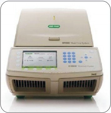 美国BIO-RAD荧光定量PCR仪