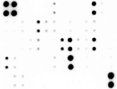 人细胞因子抗体芯片1000