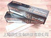 Amersham Hybond-N+ 带正电荷尼龙膜 0.45um 30cmx3m RPN303B