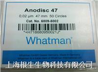 Whatman无机膜AAO模板6809-5002 47mm*0.02um