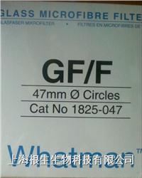玻璃纤维滤纸WHATMAN GF/F1825-047