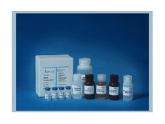 猪蓝耳病病毒(PRRSV-M)核酸检测试剂盒