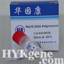 Phi29 DNA Polymerase