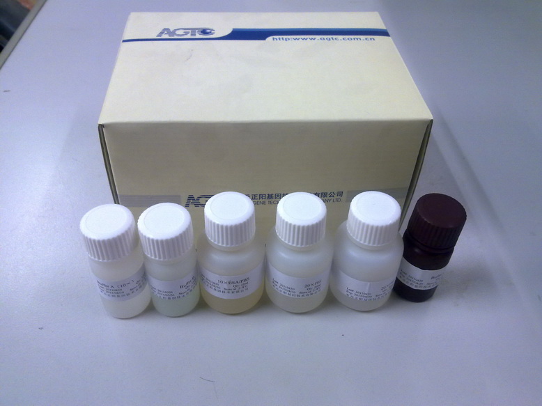 快速腺病毒感染性滴度（TCID50）检测试剂盒