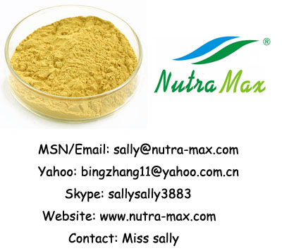Bilberry Extract 15~25% Anthocyanidins(sally@nutra-max.com)