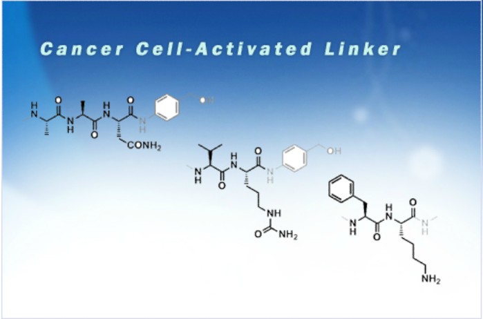Copper Free Click linker  ADCs 抗体药物