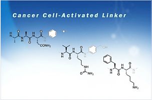 Copper Free Click linker  ADCs 抗体药物