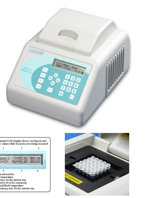 上海文乐生物科技有限公司专业供应美国Labnet 的MultiGene II PCR仪