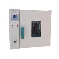 DHG9203A 电热鼓风干燥箱（台式）