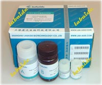 Lowry法低浓度蛋白含量测定试剂盒