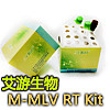 M-MLV RT Kit