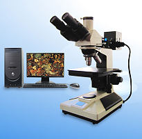 正直金相显微镜 6XB-PC