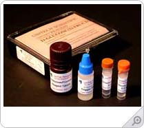 染料木苷 Genistin,银杏内酯系列标准品对照品现货供应