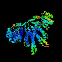 总蛋白提取试剂盒