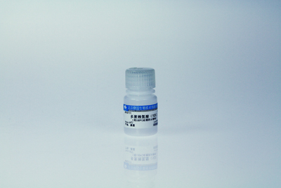 多聚赖氨酸（10×，做原位杂交时用DEPC水稀释）