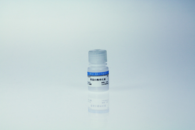 Pepsin胃蛋白酶消化液（0.4%）