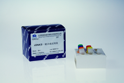 First Strand cDNA Synthesis Kit