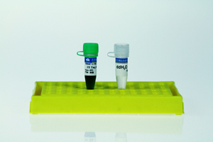 2x Taq PCR Colorless Mix