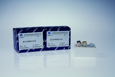 cDNA第一链合成试剂盒