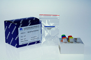 通用型PCR试剂盒