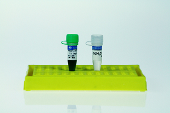 2×Pfu PCR Green Mix