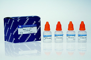 敏感型SP(兔)试剂盒