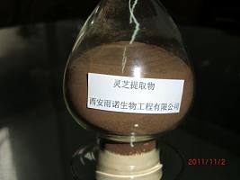 灵芝提取物灵芝多糖30%