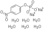 4-硝基苯基磷酸二钠盐六水合物 (PNPP)