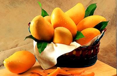 芒果甙Mangiferin